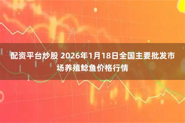 配资平台炒股 2026年1月18日全国主要批发市场养殖鲶鱼价格行情