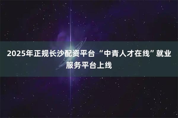 2025年正规长沙配资平台 “中青人才在线”就业服务平台上线